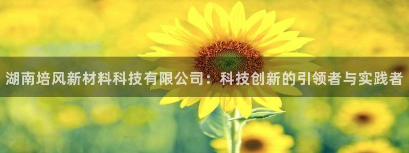 湖南培风新材料科技有限公司：科技创新的引领者与实践者