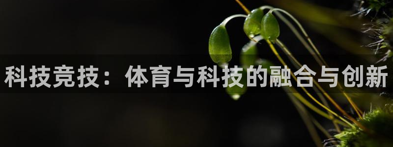 科技竞技：体育与科技的融合与创新