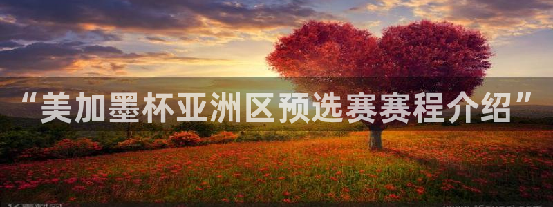 “美加墨杯亚洲区预选赛赛程介绍”
