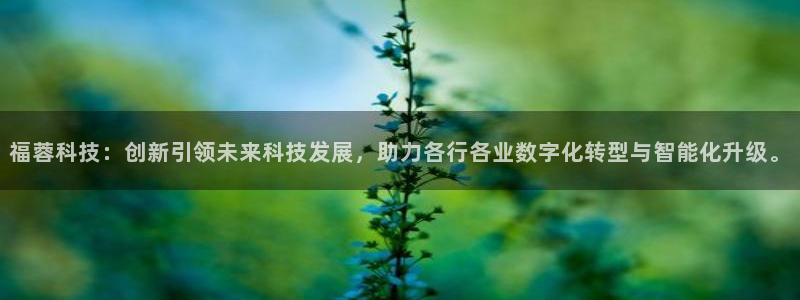 福蓉科技：创新引领未来科技发展，助力各行各业数字化转型与智能化升级。