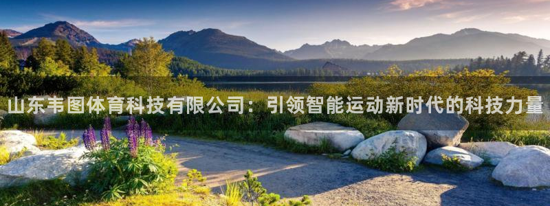 山东韦图体育科技有限公司：引领智能运动新时代的科技力量