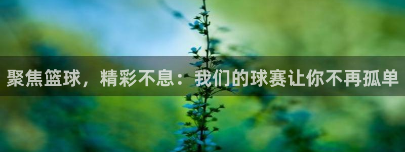 聚焦篮球，精彩不息：我们的球赛让你不再孤单