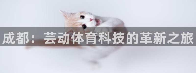 成都：芸动体育科技的革新之旅